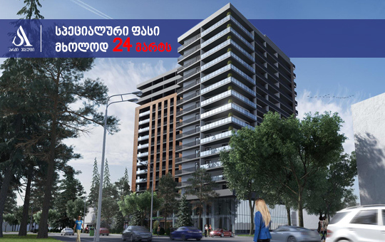 არქი ვუდი დიღმის მასივში - წინასწარი გაყიდვები იწყება